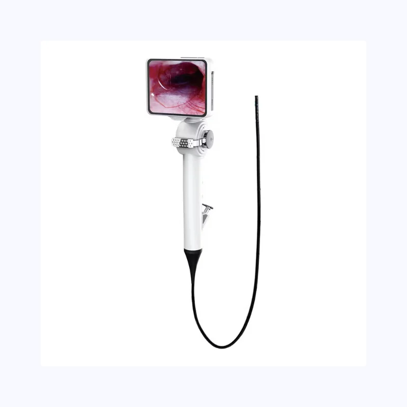 Difficult Intubation System