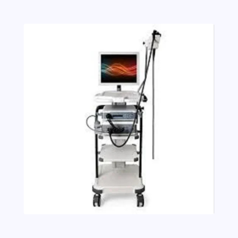 Video Endoscopy Processor
