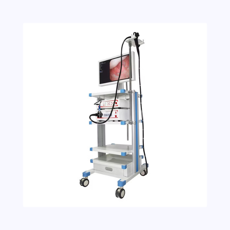 Video Endoscopy Trolley